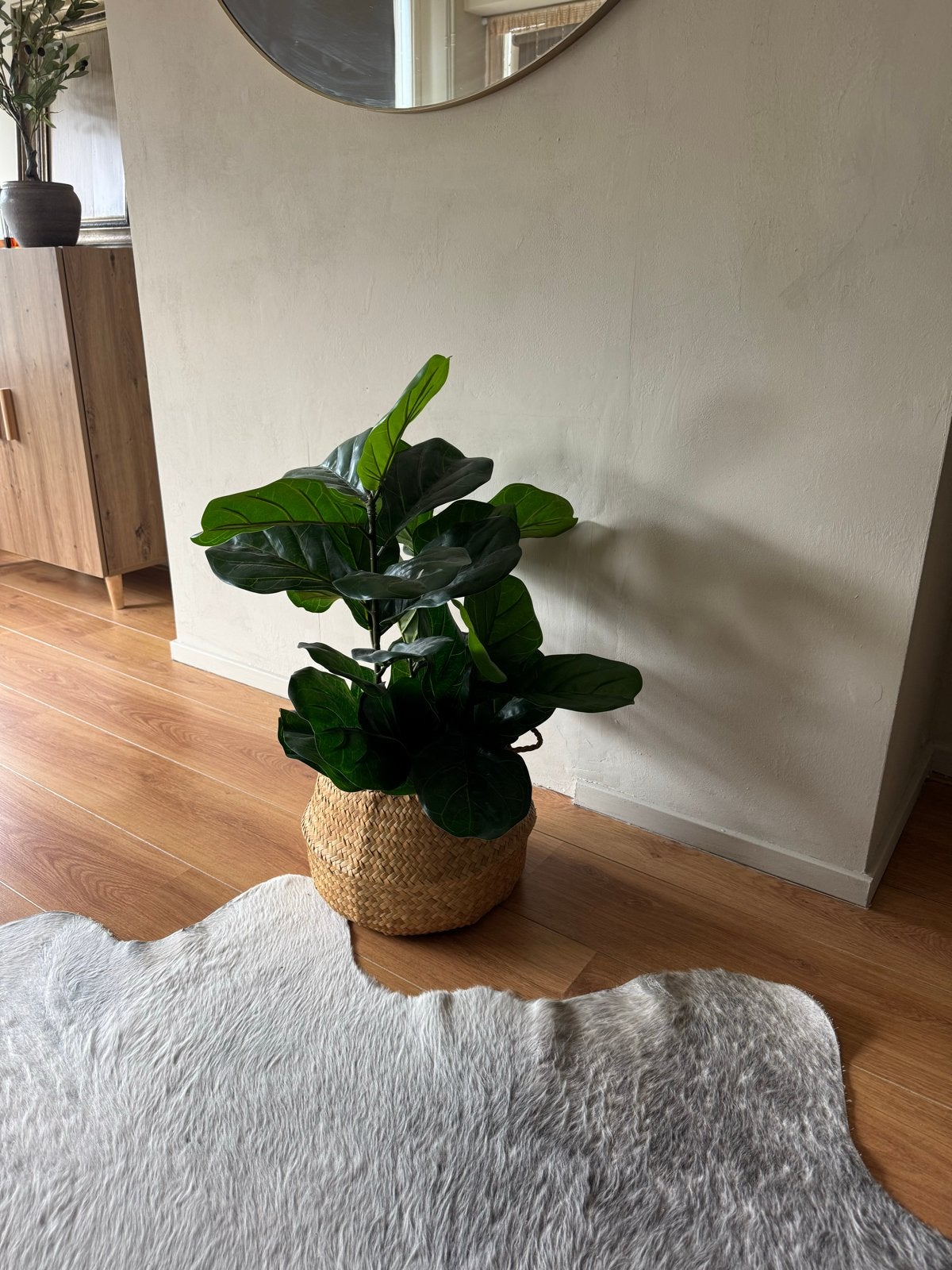 Kunstplant in mand - Ficus Lyrata look, Ophalen, Binnen, Groen, Kunstplant