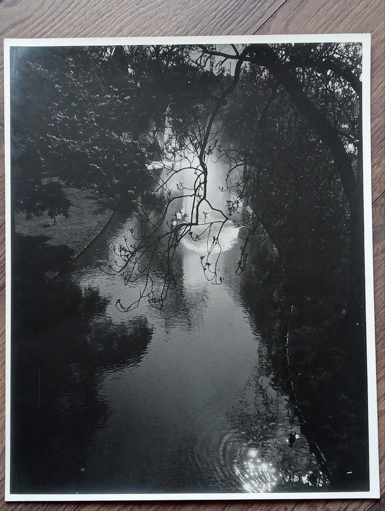Foto water met weerspiegeling jaren 20/30, Ophalen of Verzenden, Voor 1940, Zo goed als nieuw
