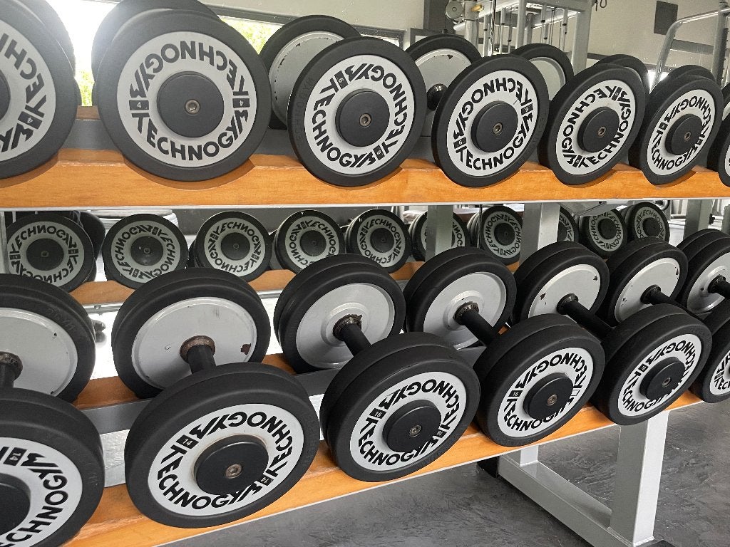 Dumbells Technogym + Rek, Sport en Fitness, Ophalen, Gebruikt, Rug, Dumbbell