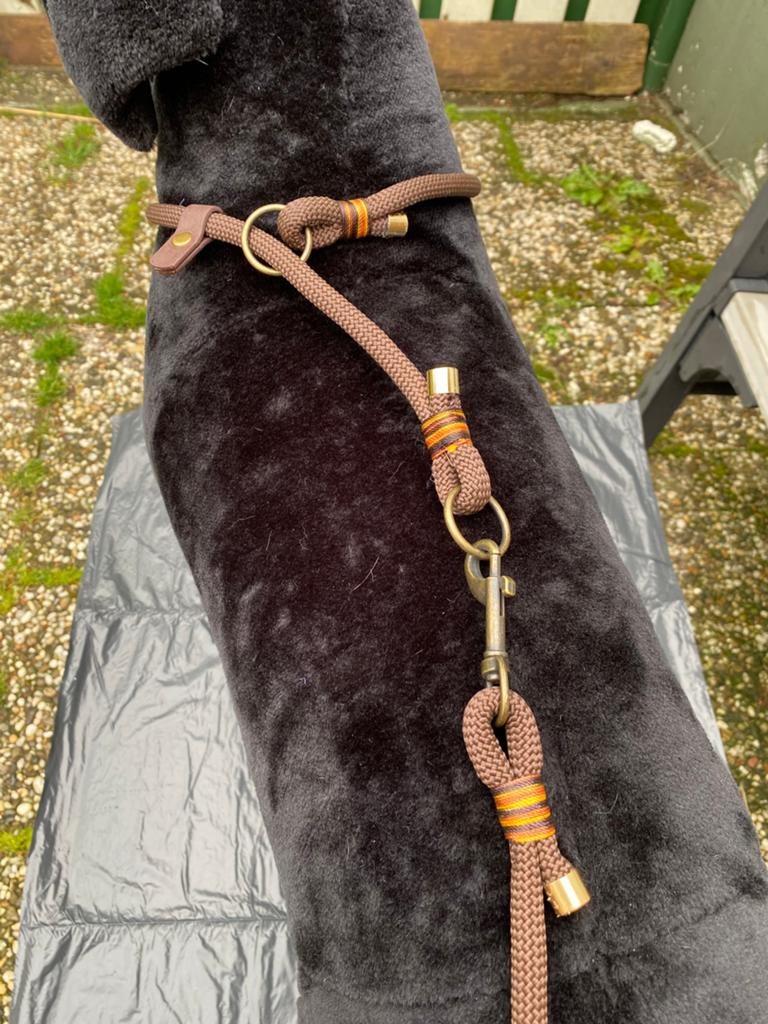 Honden halsband met bijbehorende lijn, Verzenden, Handgemaakt, Nieuw