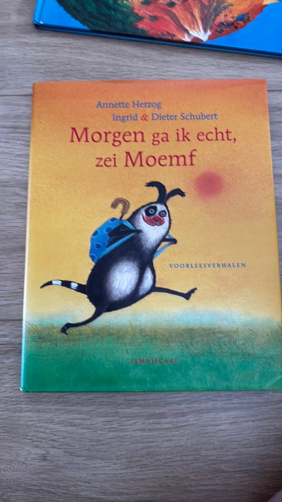 Morgen ga ik echt, Boeken, Ophalen of Verzenden, Zo goed als nieuw, Fictie algemeen