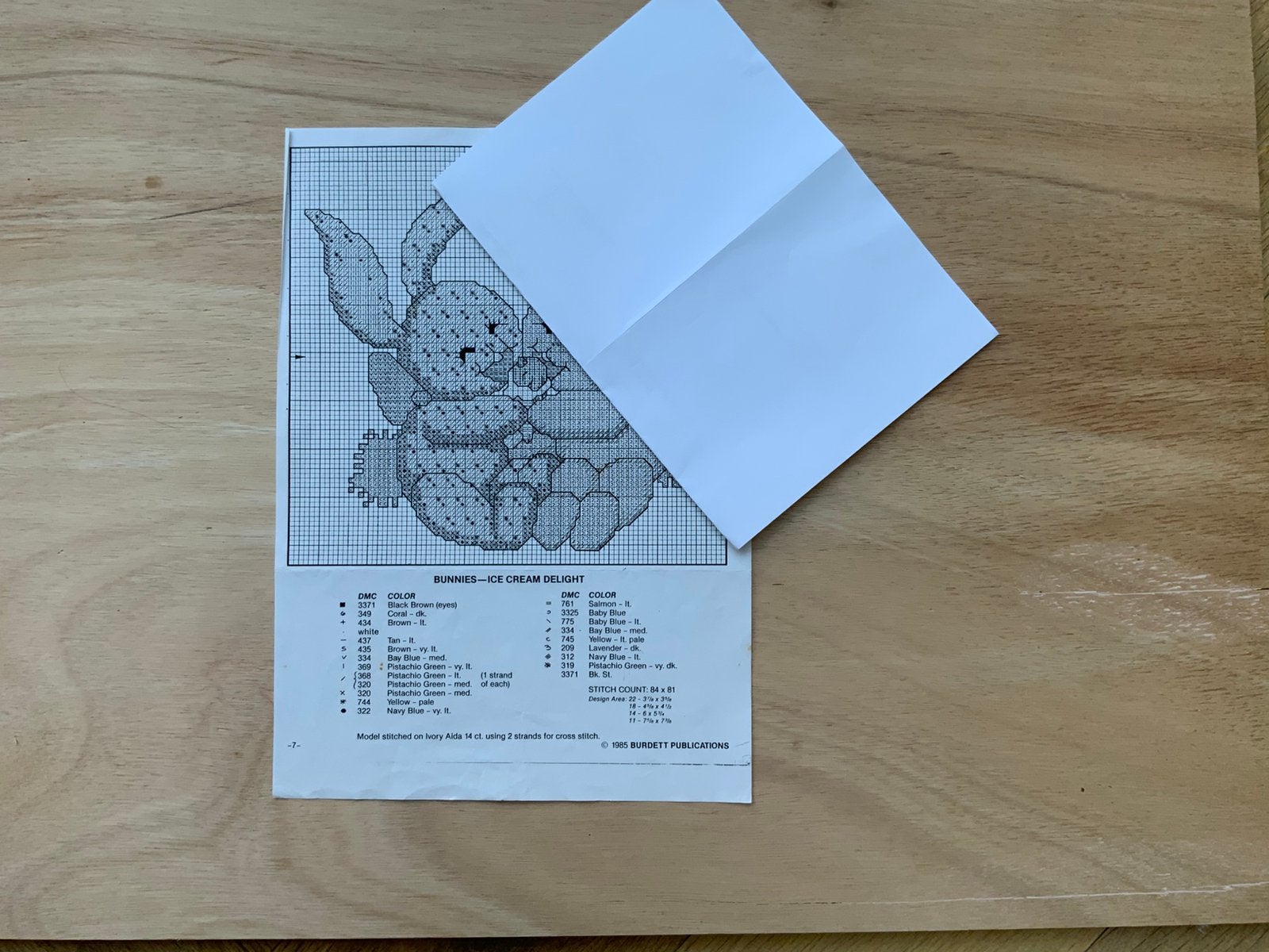 Borduurpatroon van 2 vrolijke bunnies met ijsje, Ophalen of Verzenden, Zo goed als nieuw, Patroon