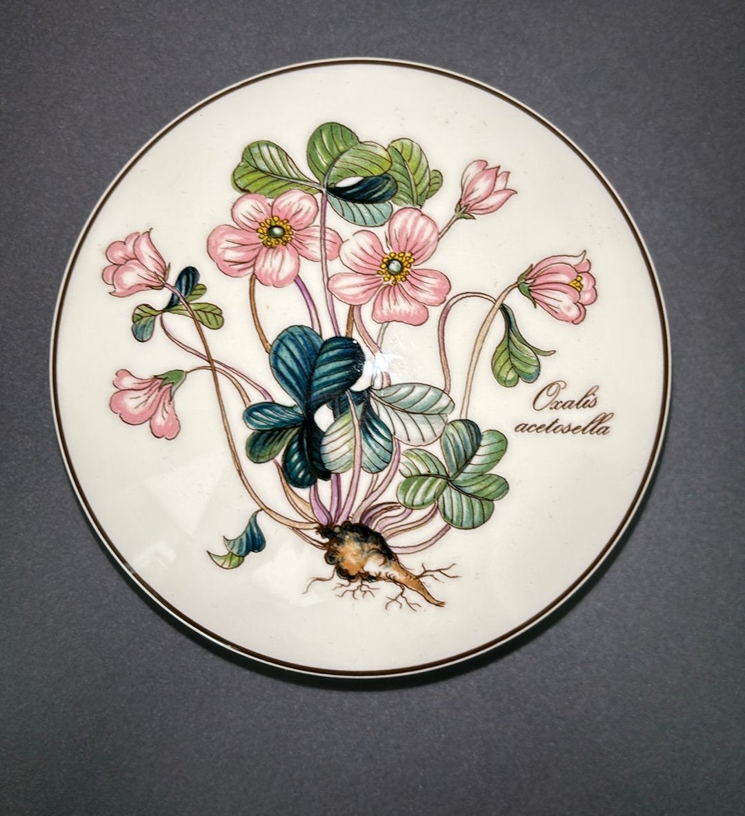 Dekselschaaltje Villeroy & Boch Botanica, Huis en Inrichting, Keuken | Servies, Ophalen of Verzenden, Overige stijlen, Porselein
