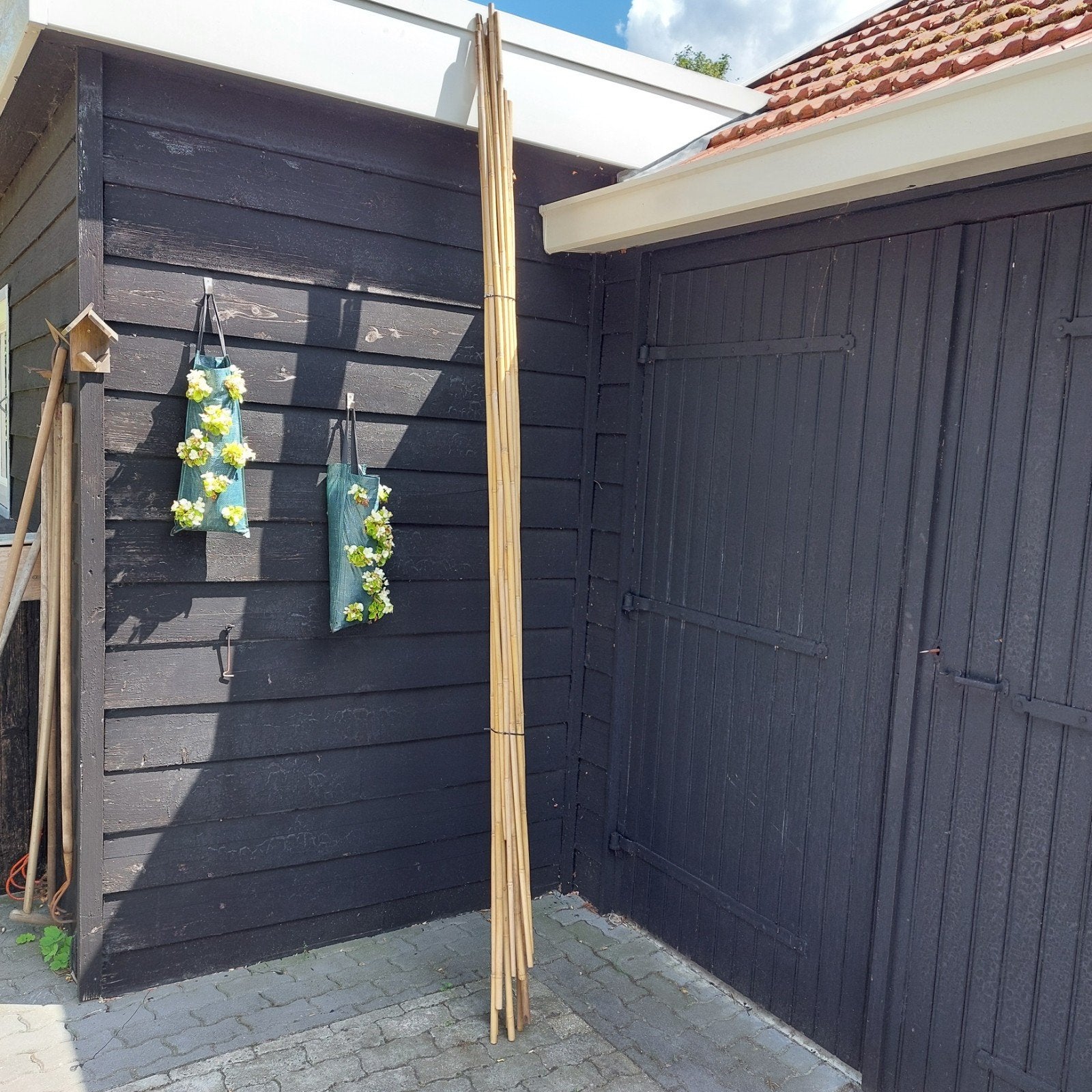 Bamboe stokken voor tuin of decoratie, Ophalen, Gebruikt, 250 cm of meer