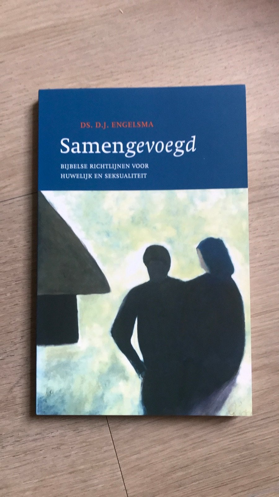 Samengevoegd: Bijbelse richtlijnen voor huwelijk en seksuali, Ophalen of Verzenden, Zo goed als nieuw, Christendom | Protestants