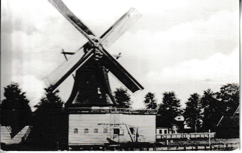 ZAANDAM - OLIEMOLEN RAD van AVONTUUR - GESLOOPT 1914, Ophalen of Verzenden, Voor 1920, Ongelopen, Noord-Holland