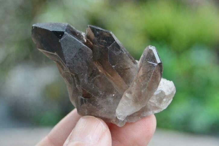 Rookkwarts cluster (nr. 07), Ophalen of Verzenden, Mineraal