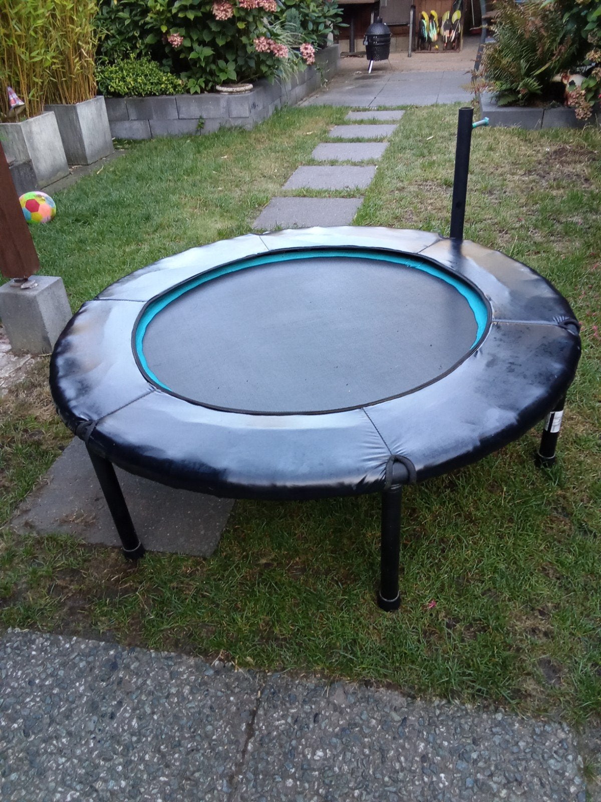 Mini fitness trampoline - 110 cm diameter, Ophalen, Gebruikt