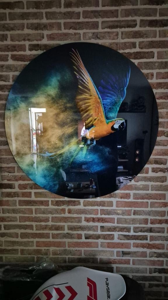 Glas schilderij ara papegaai  100 cm rond, Huis en Inrichting, Ophalen, Overige typen