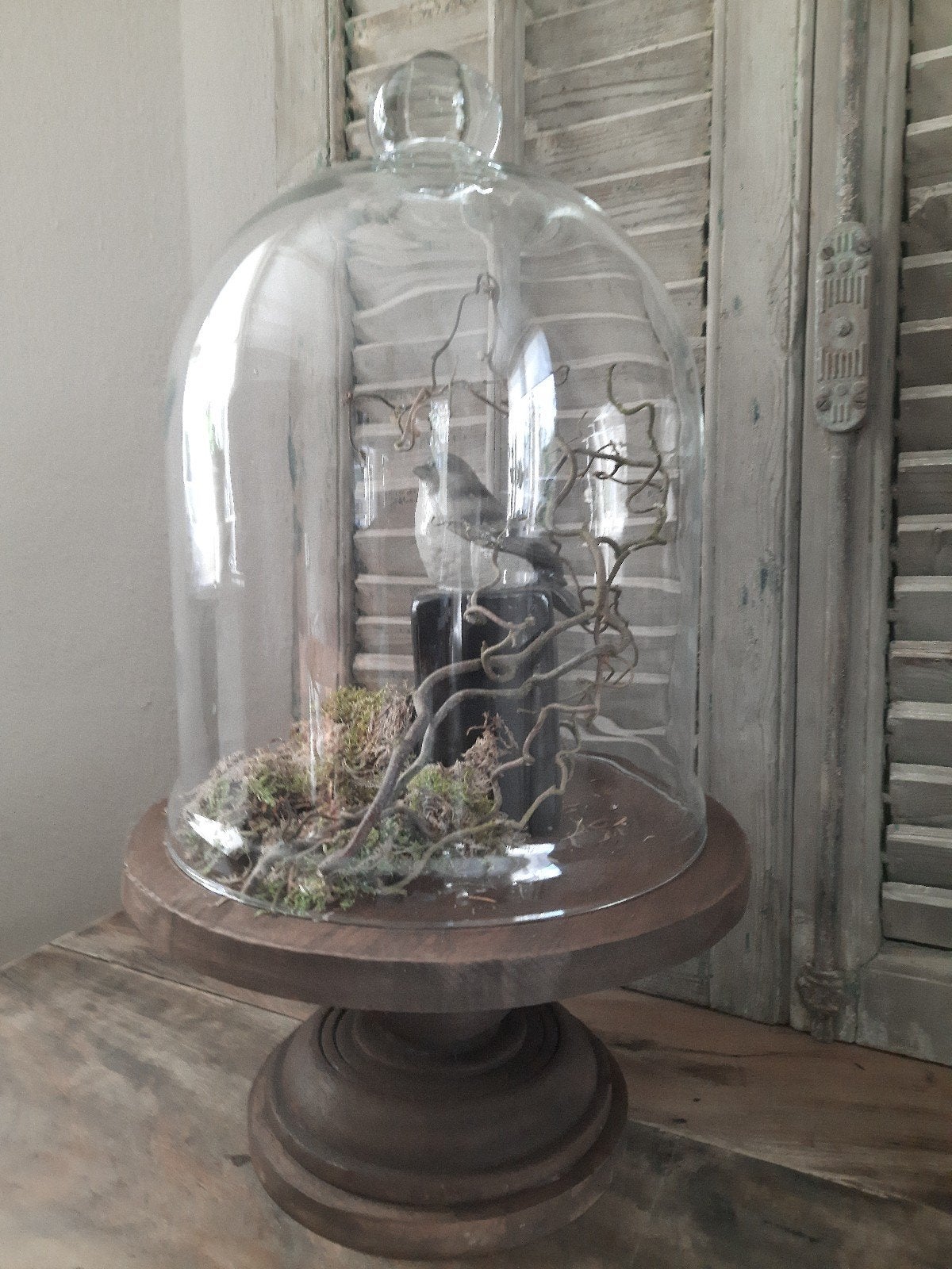 Grote glazen stolp op houten voet XXL stolp cloche stoer, Ophalen, Gebruikt, 30 cm