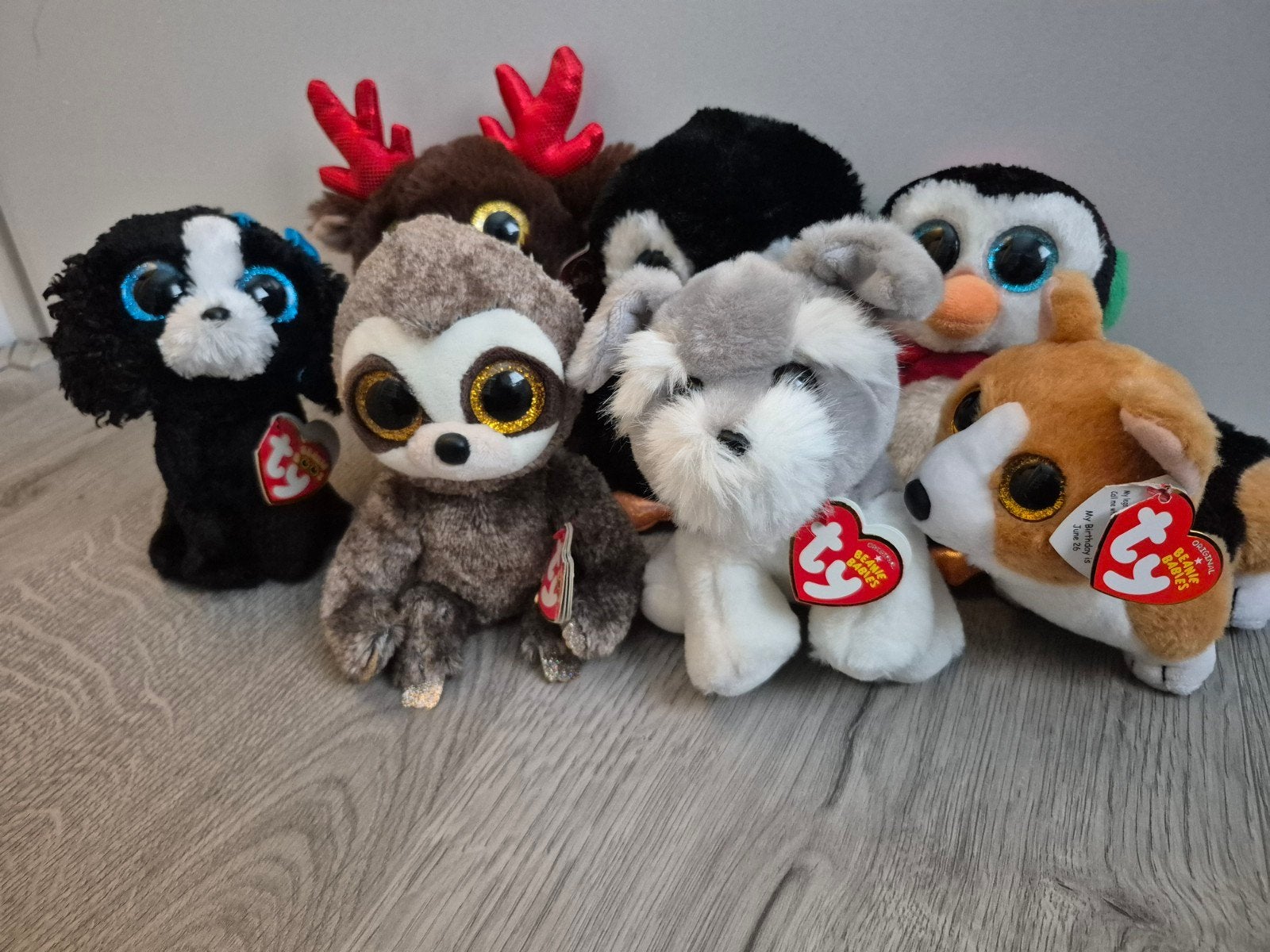 Leuke set met meerdere Ty Beanie Boos en WWF, Overige karakters, Zwart, Klein (minder dan 20 cm), Ty