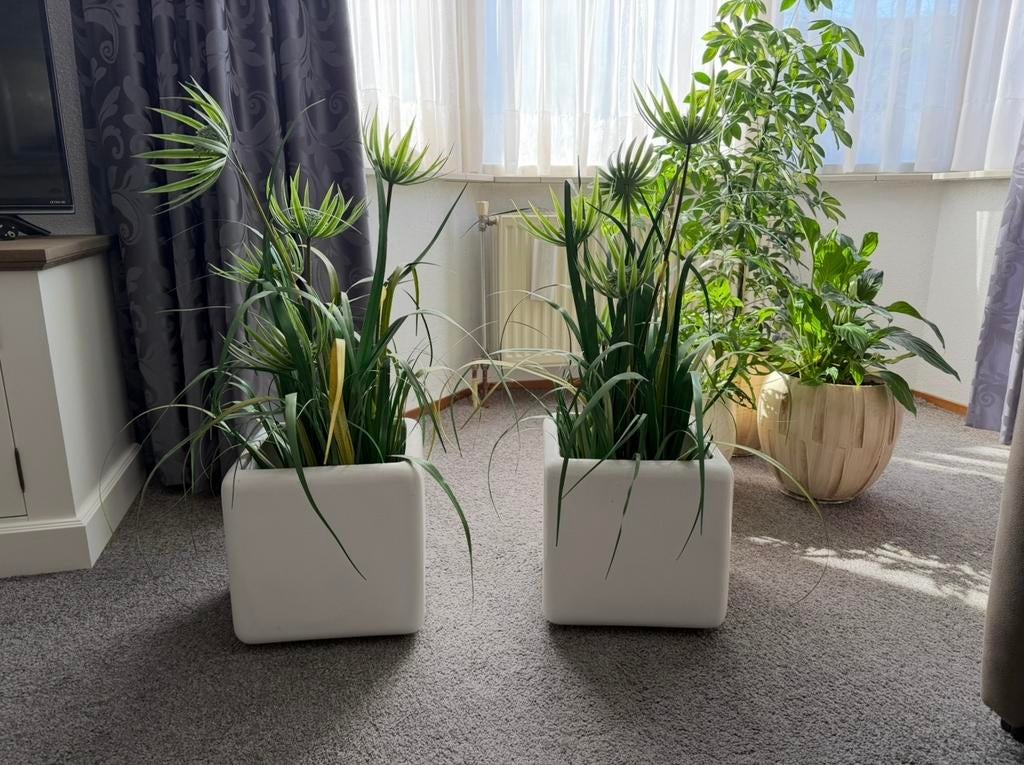 Kunstplanten, Ophalen, Zo goed als nieuw, Rond, Minder dan 30 cm