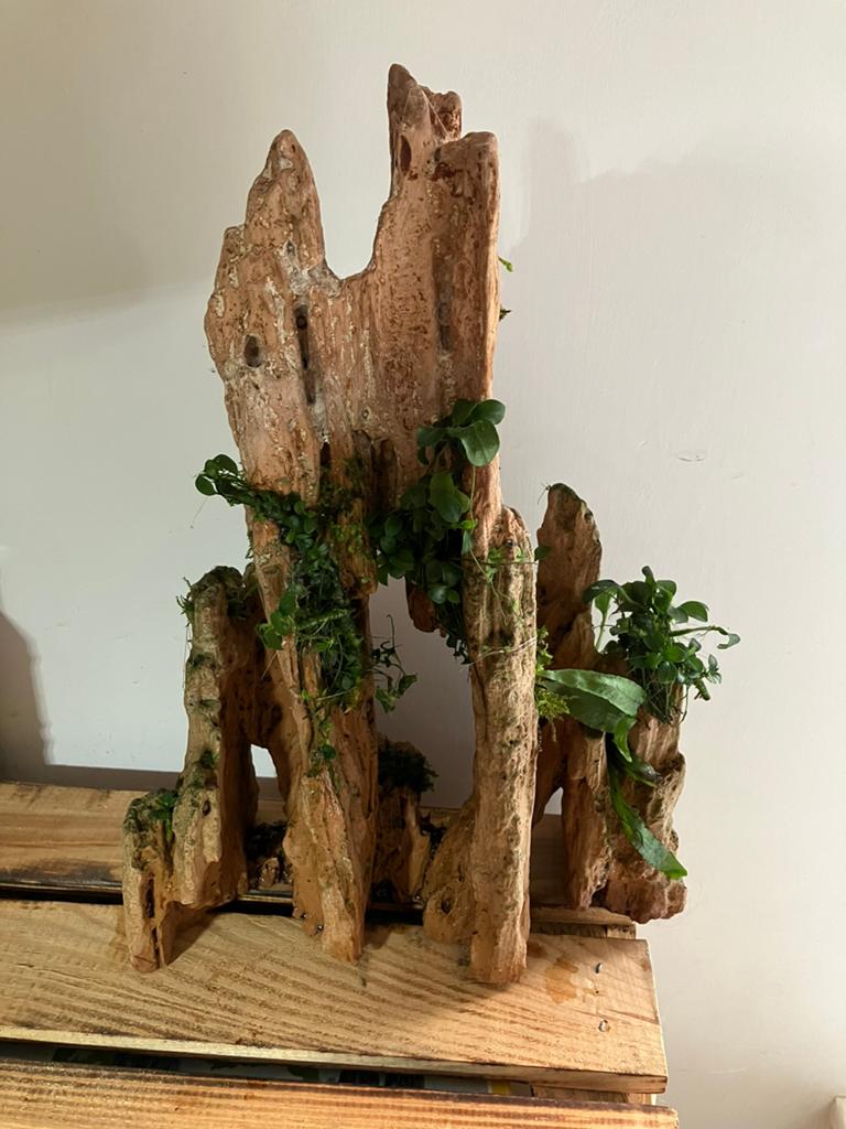 Aauarium grote zandkleurige kunst rots incl beplanting, Ophalen of Verzenden, Plant(en), Steen of Hout
