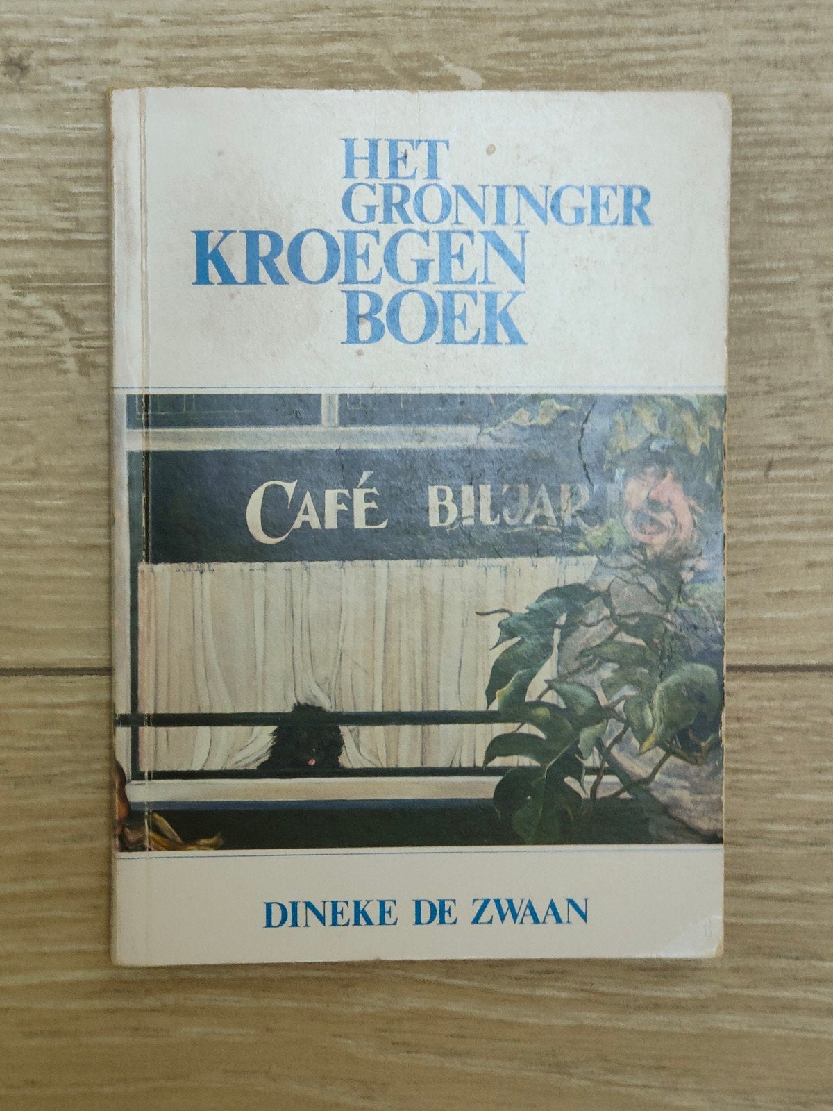 Het Groninger Kroegenbook door Dineke de Zwaan, Ophalen of Verzenden, Zo goed als nieuw, Dineke de Zwaan