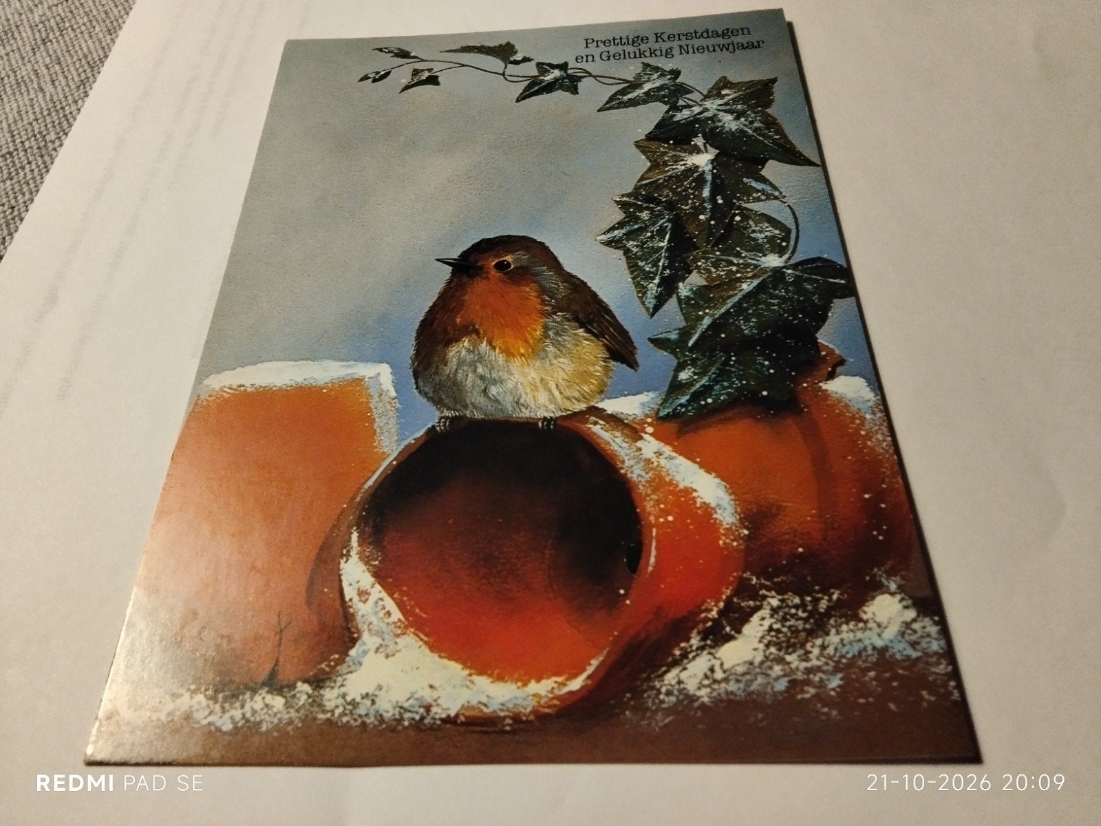 Kerstkaart Roodborstje op potten - Prettige Kerstdagen, Ophalen of Verzenden, 1980 tot heden, Ongelopen, Feest(dag)