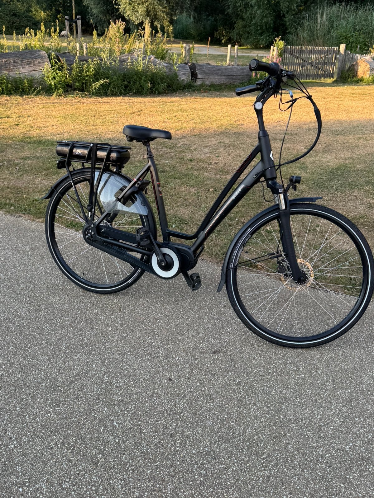 Amslod elektriche fiets, Ophalen, Zo goed als nieuw, Overige merken