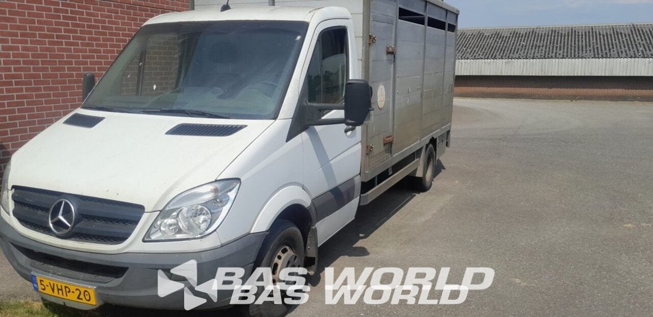 Mercedes Sprinter 519 CDI Euro 5 Automaat Horse Van Achterkl, Auto's, Automaat, Euro 5, Gebruikt, 150 pk