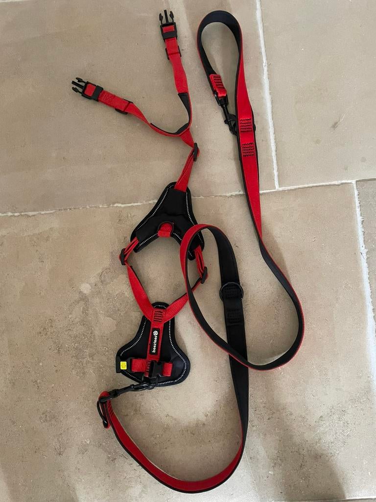 Honden tuigje plus riem compleet, Ophalen of Verzenden, Zo goed als nieuw