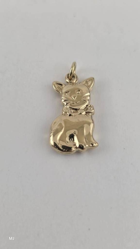 Gouden hanger poes                                       G47