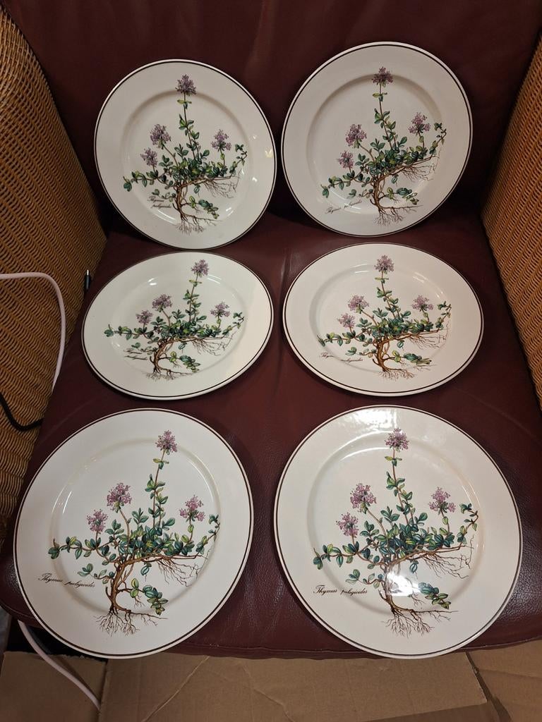 6x Botanica Borden villeroy en boch, Ophalen of Verzenden