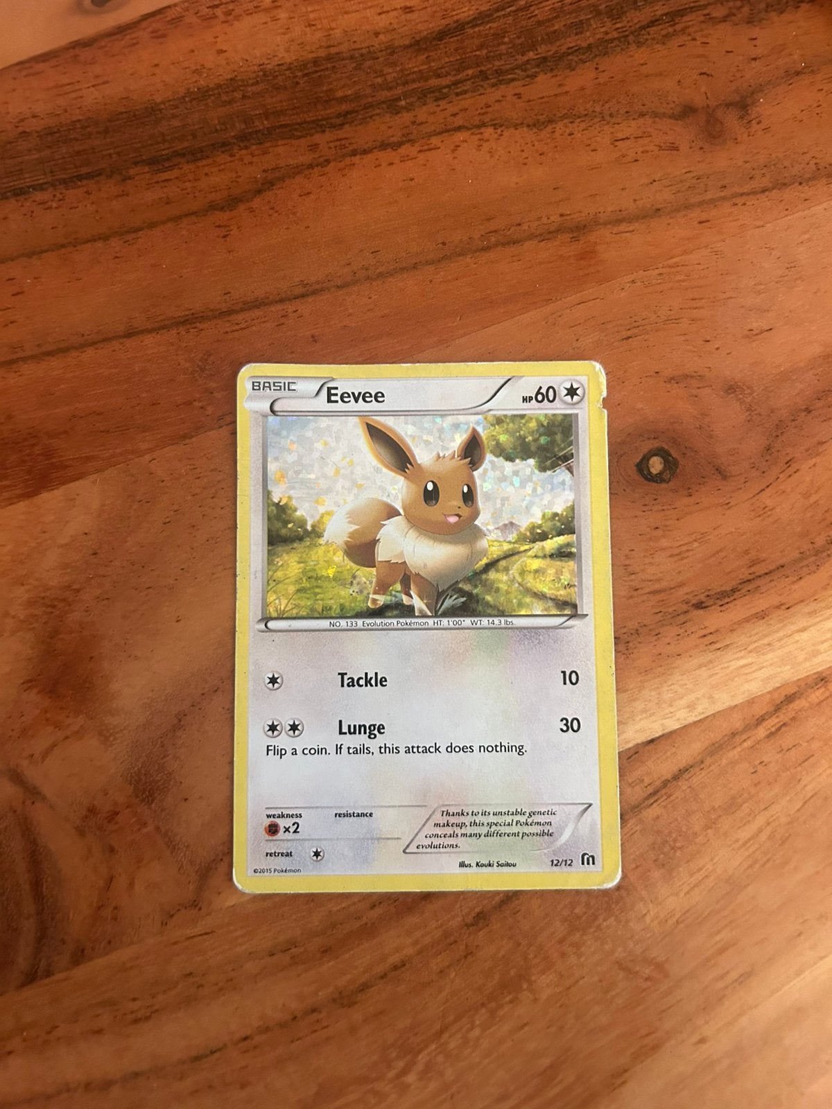 Eevee, Verzenden, Zo goed als nieuw