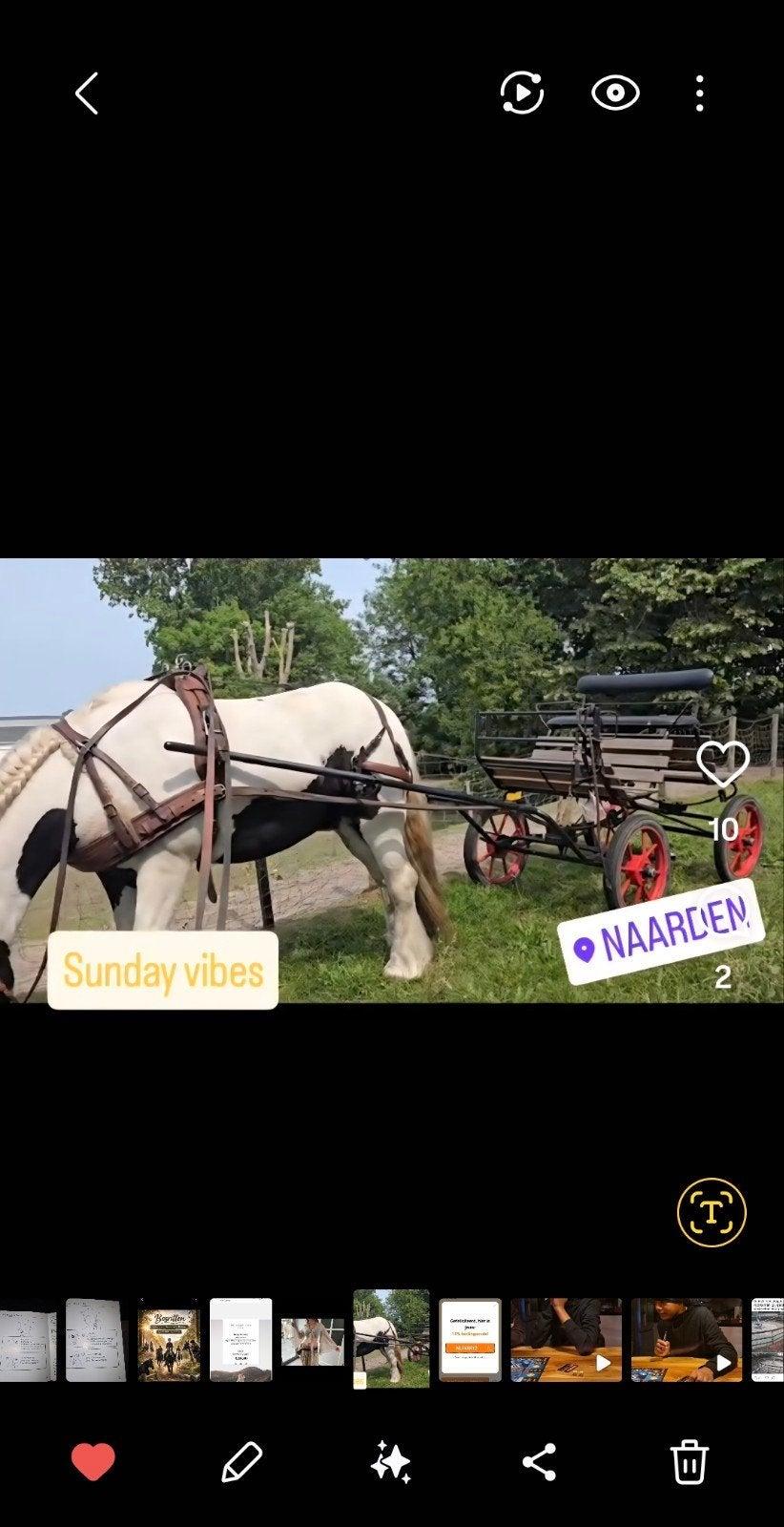 Super leuke menwagen met cob tuig, Overige typen, Paard