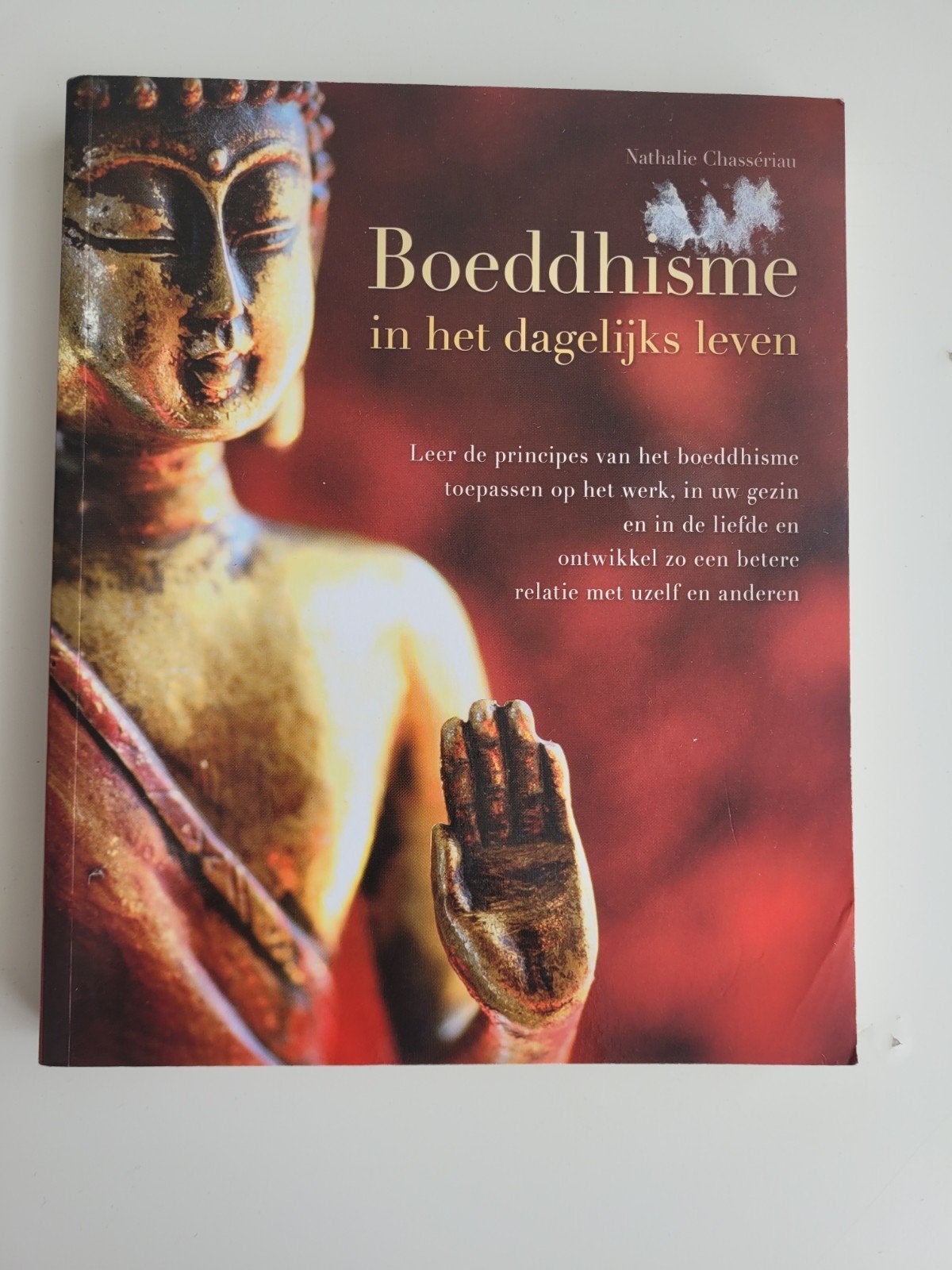 Boeddhisme in het dagelijks leven, Ophalen of Verzenden, Zo goed als nieuw