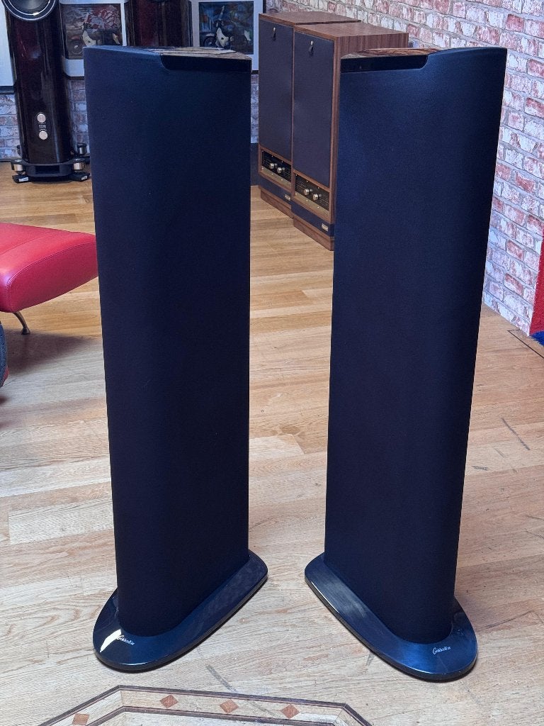 GoldenEar Triton Two, Vloerstaande luidspreker, Gebruikt, Ophalen, 150 watt of meer