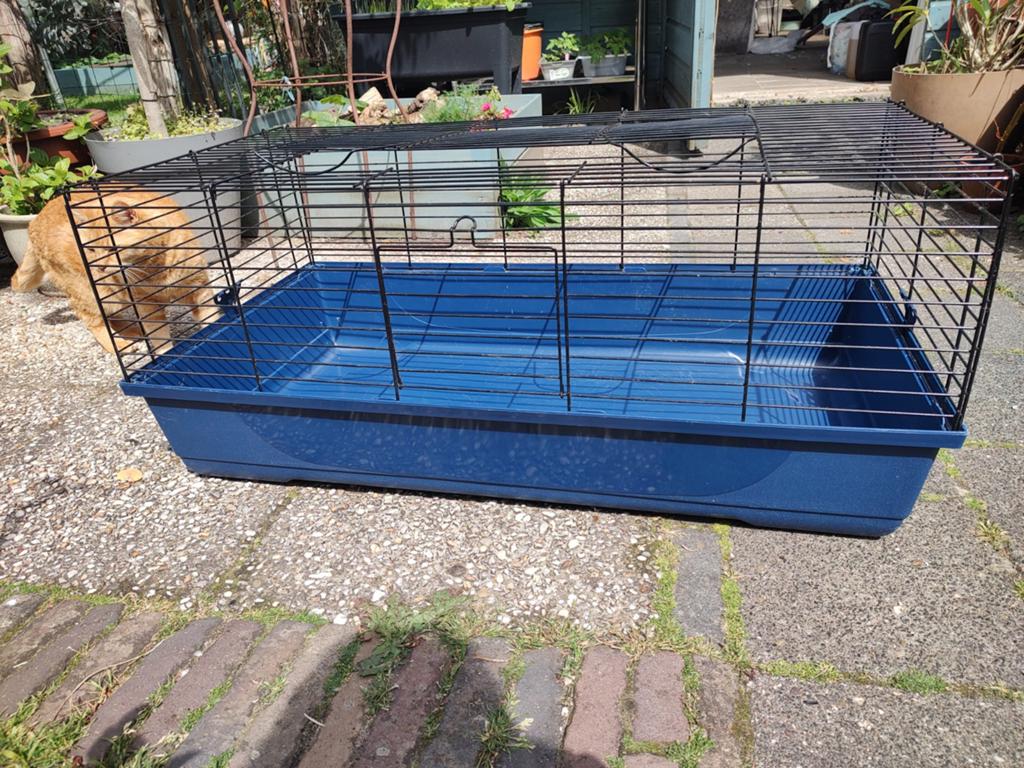 Konijnen/cavia binnenkooi, Dieren en Toebehoren, Kooi, Cavia, Ophalen, Minder dan 60 cm