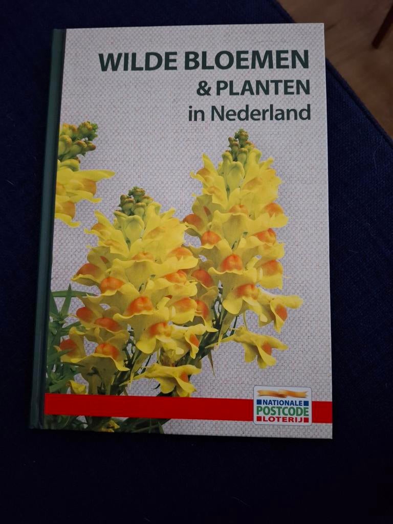 Wilde bloemen en planten in Nederland, Neil Fletcher, Bloemen, Planten en Bomen, Nieuw, Ophalen of Verzenden
