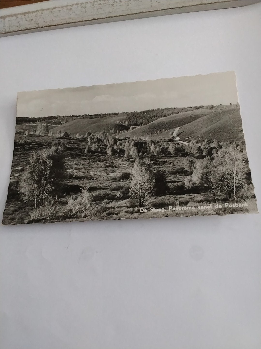 Oude Ansichtkaart De Steeg - Panorama vanaf de Posbank, Ophalen of Verzenden, 1940 tot 1960, Gelopen, Gelderland