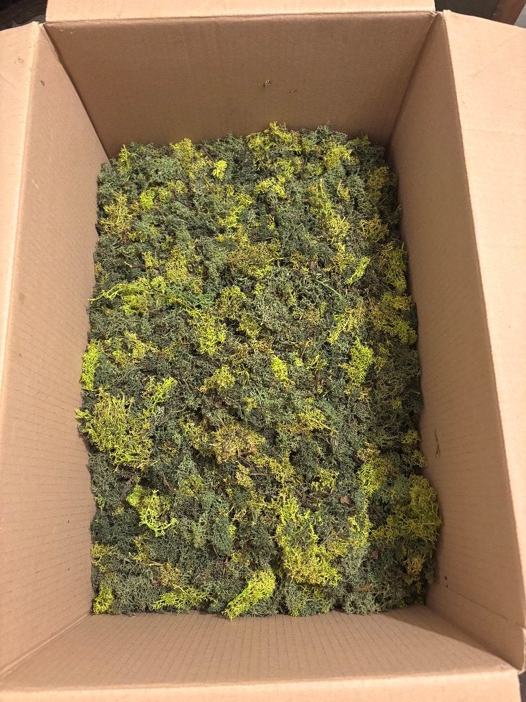 Mos & Moslijm, Hobby en Vrije tijd, Knutselen, Ophalen, Groen, Overige thema's, Nieuw