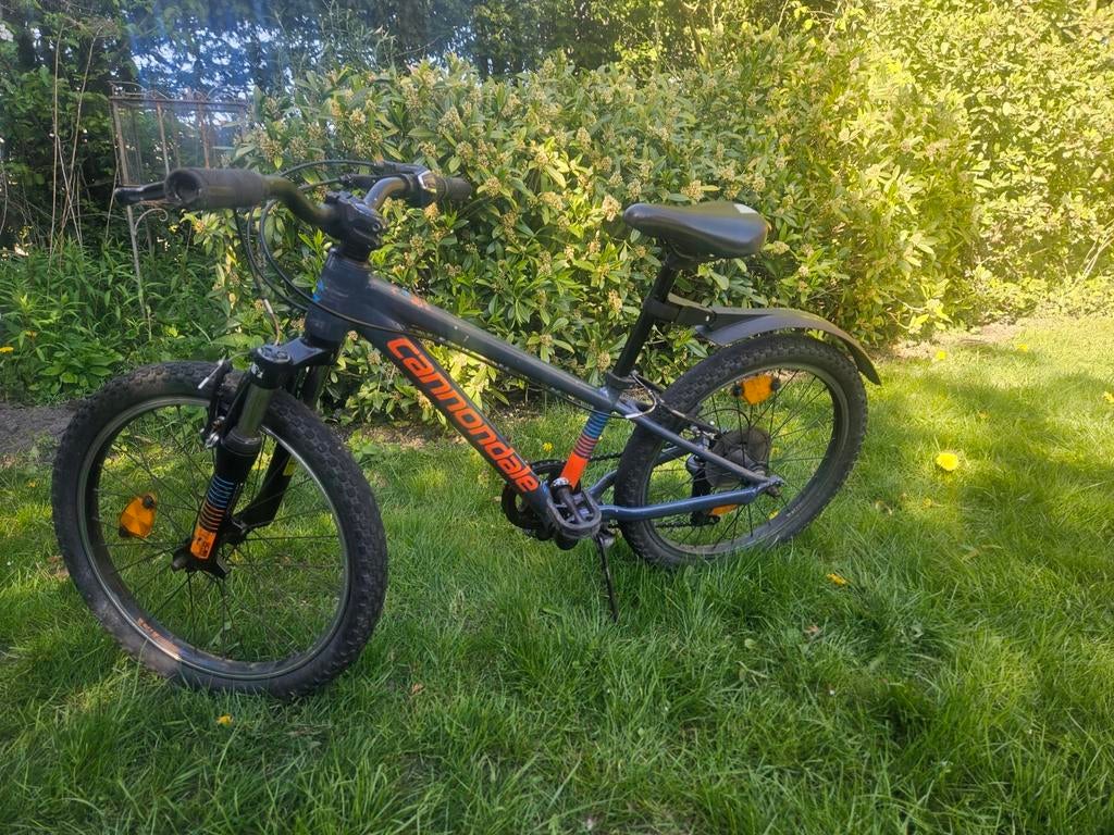 Cannondale MTB, 20 inch, in prima staat, Gebruikt, Velgrem, Ophalen, Overige merken