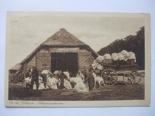 P280 Veluwe - Schapenscheren - 1928, Verzenden, 1920 tot 1940, Gelopen, Gelderland