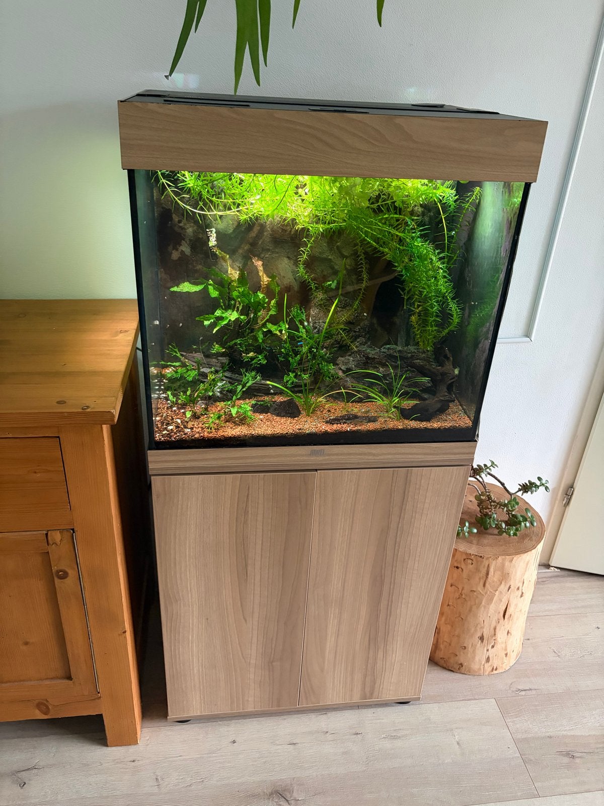 Compleet Juwel Rio 120 aquarium met CO₂ & toptechniek, Dieren en Toebehoren, Vissen | Aquaria en Toebehoren, Ophalen, Inclusief deksel