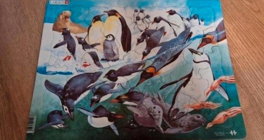 Wilde dieren zuidpool - larsen puzzel 50 stukken, Ophalen of Verzenden, 10 tot 50 stukjes, Zo goed als nieuw