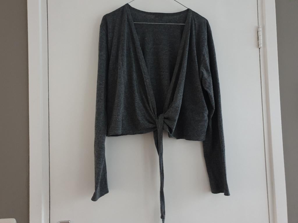 Een antraciet kleurig vestje maat 44 van boris industries, Kleding | Dames, Boris Industries, Trui of Vest, Ophalen of Verzenden
