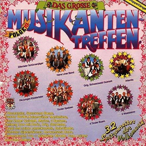 Das grosse Musikantentreffen - Folge 10  Originele CD Nieuw., Cd's en Dvd's, Cd's | Schlagers, Ophalen of Verzenden, Nieuw in verpakking