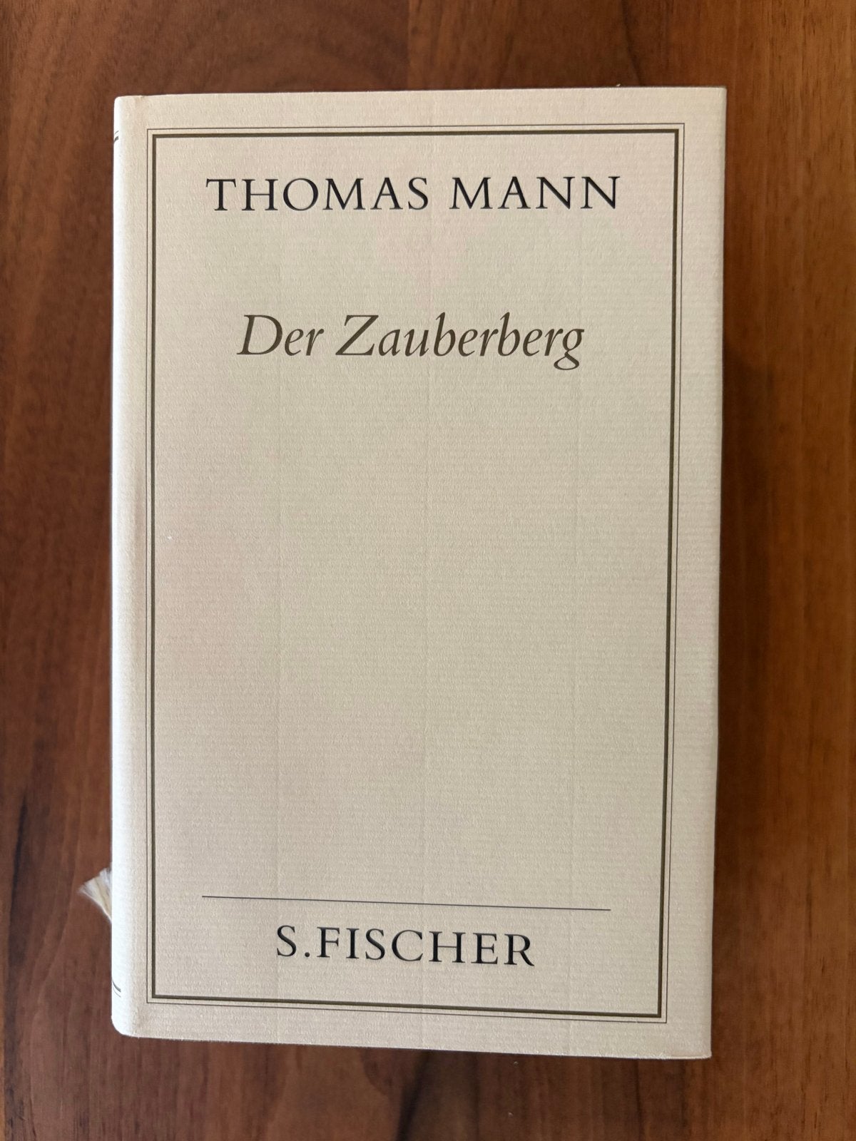 Thomas Mann - Der Zauberberg (S. Fischer), Ophalen of Verzenden, Nieuw, Europa overig