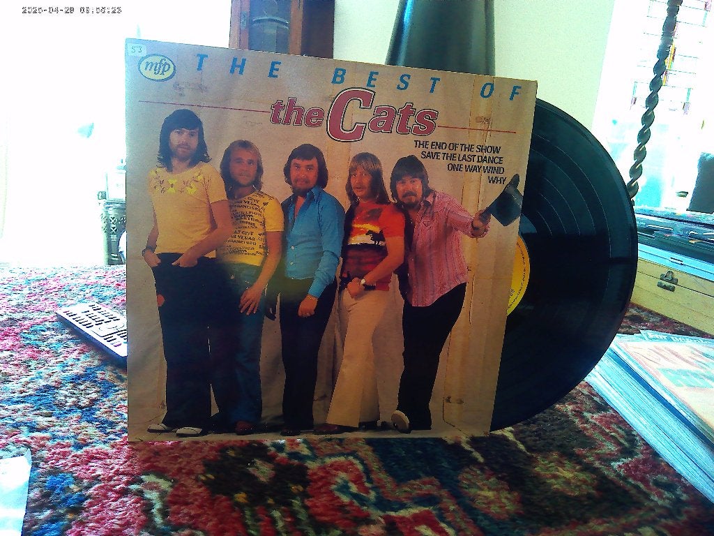 THE CATS, Cd's en Dvd's, Vinyl | Pop, Ophalen of Verzenden, Zo goed als nieuw, 12 inch