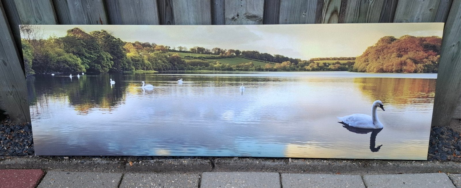 “Grote wanddecoratie / fotoprint op hout – zwaan op meer”, Ophalen