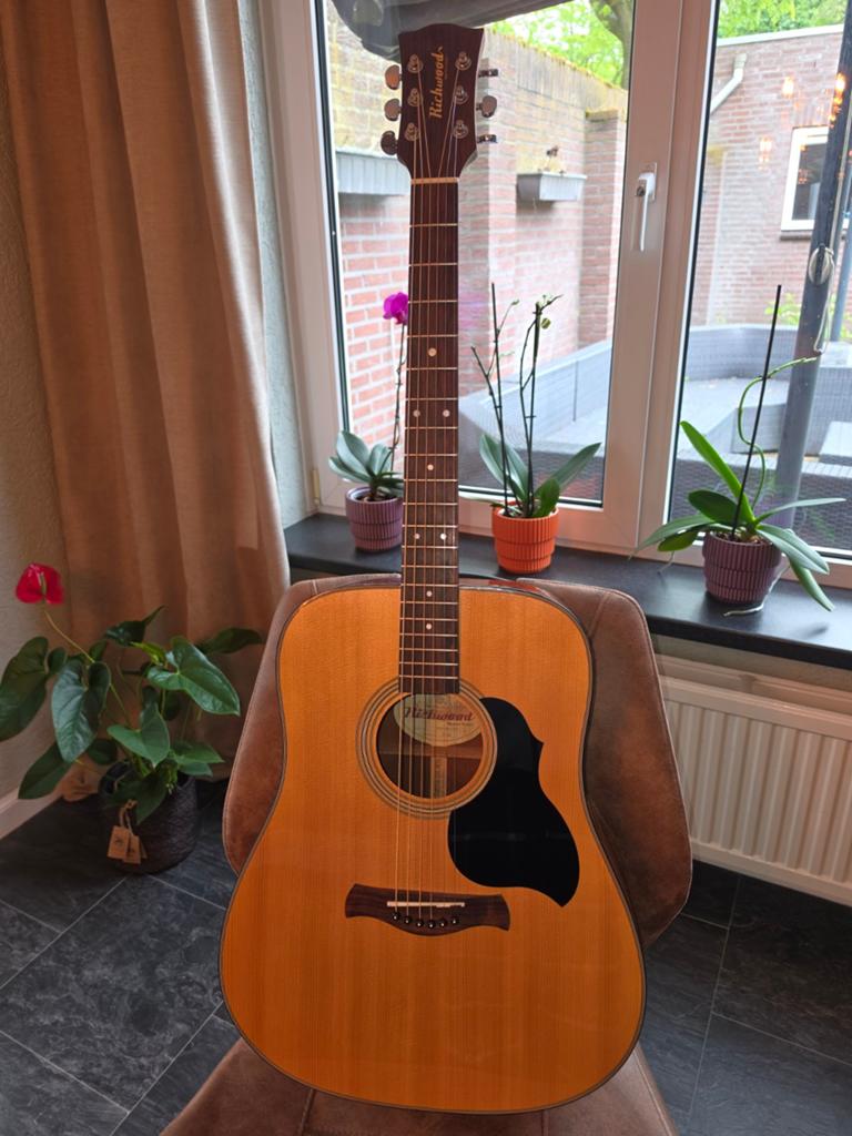 Richwood D40 Master series, Muziek en Instrumenten, Snaarinstrumenten | Gitaren | Akoestisch, Ophalen of Verzenden, Zo goed als nieuw