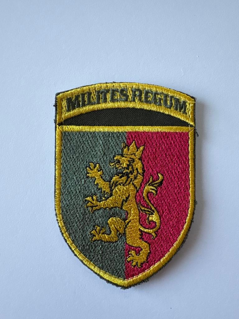 Oekraïense brigade embleem - Milites Regum, Ophalen of Verzenden, Landmacht, Overige gebieden, Embleem of Badge