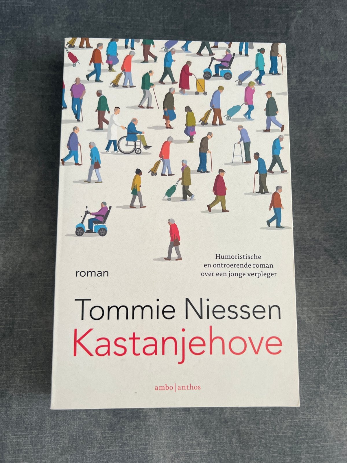 Kastanjehove - Tommie Niessen (Roman), Ophalen of Verzenden, Zo goed als nieuw, Nederland
