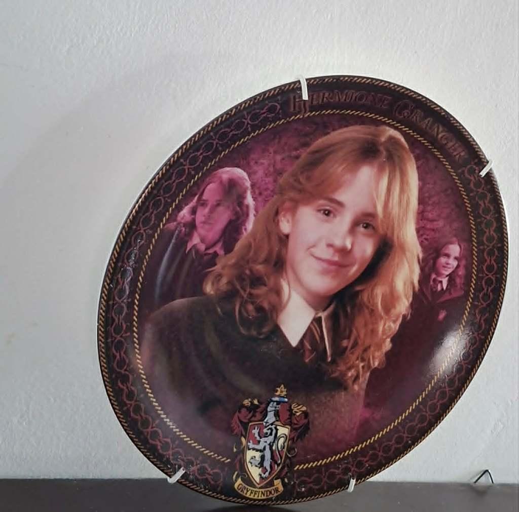Hermione Granger bord, Ophalen, Zo goed als nieuw, Overige typen