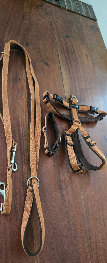 Anny Y tuigje, halsband en politie riem 3 meter, Dieren en Toebehoren, Ophalen of Verzenden, Zo goed als nieuw, Hondenriem-accessoire