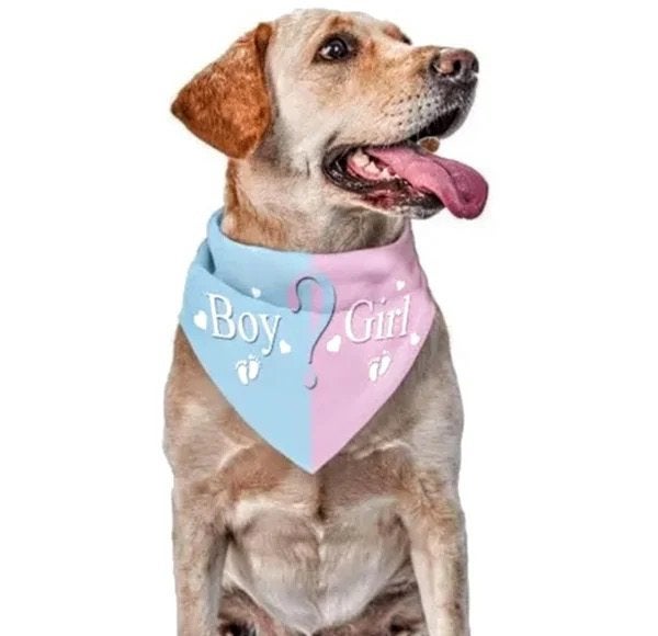 Tallize honden bandana’s en andere honden artikelen, Nieuw, Ophalen of Verzenden, Info@sweet-one.nl, Sweet-One