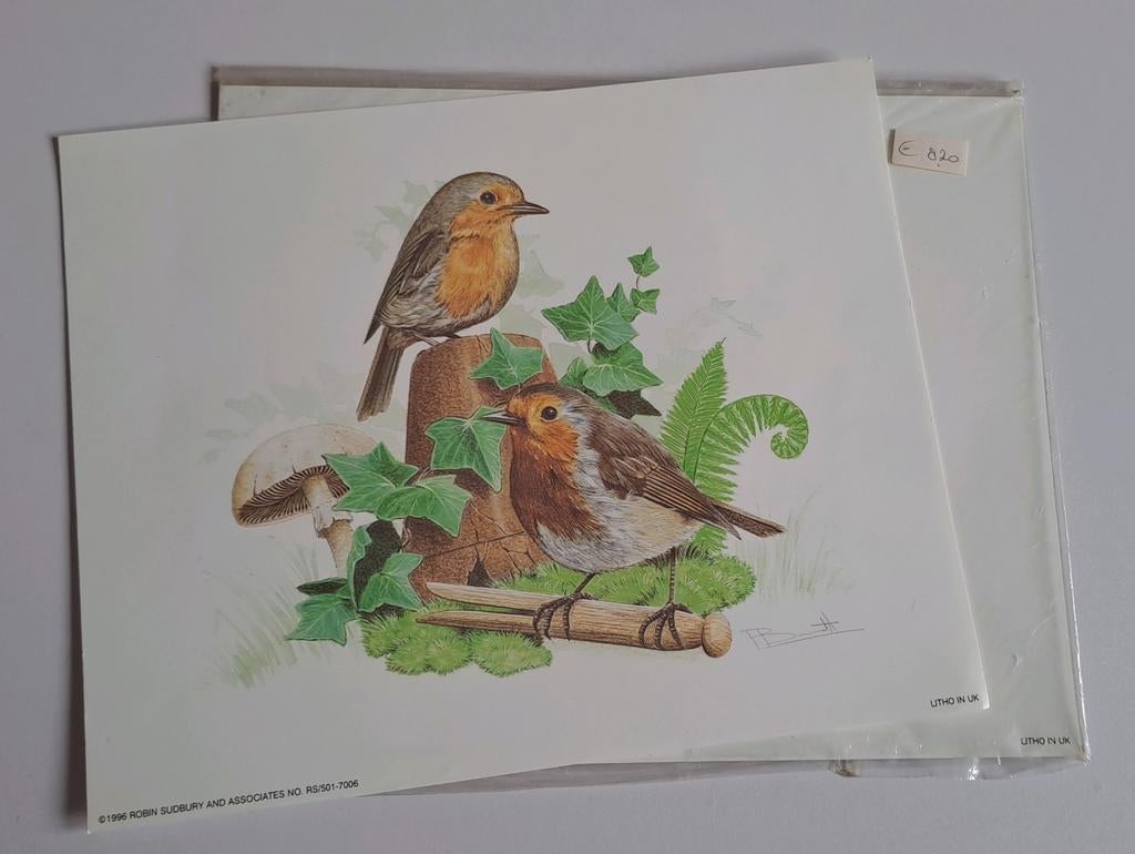 grote 3D knipvellen 6x, Ophalen of Verzenden, Nieuw