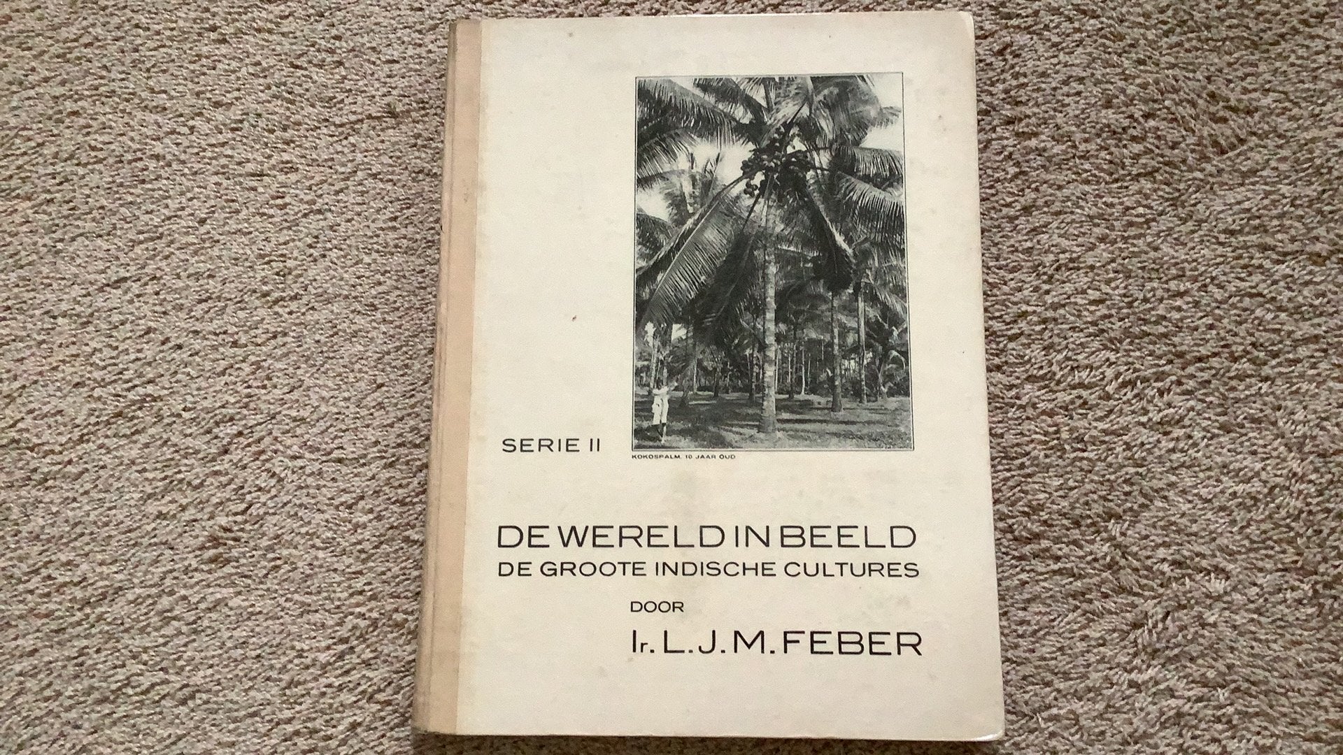 De wereld in beeld, serie II, De groote Indische cultures., Ophalen of Verzenden, Gelezen, Plaatjesalbum