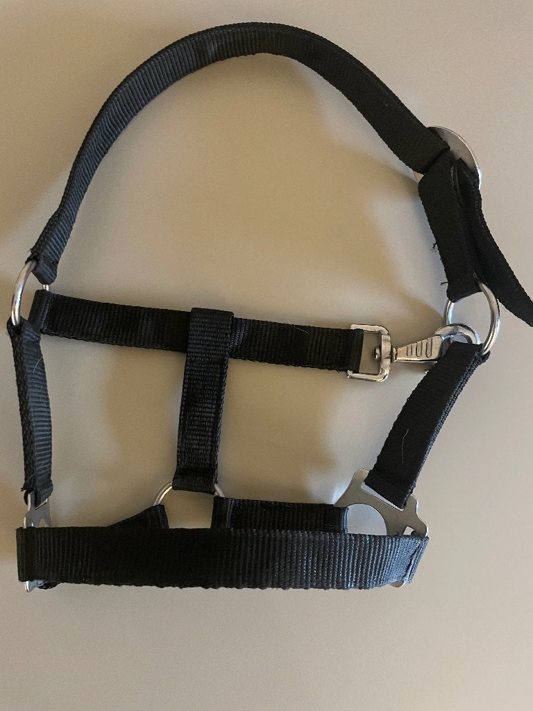 Halster maat (mini) shetlander, Nieuw, Zwart, Halster, BR